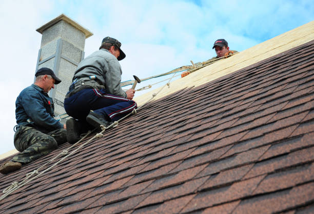 Quick and Trustworthy Emergency Roof Repair Services in Golden Glades, FL